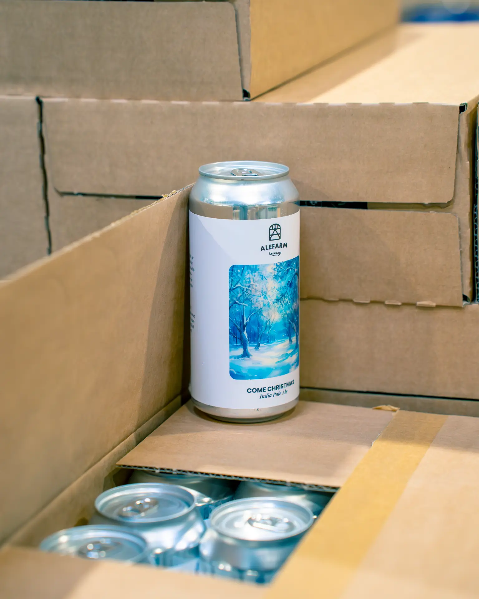 Canette Come Christmas de la brasserie danoise Alefarm Brewing