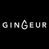 logo Gingeur